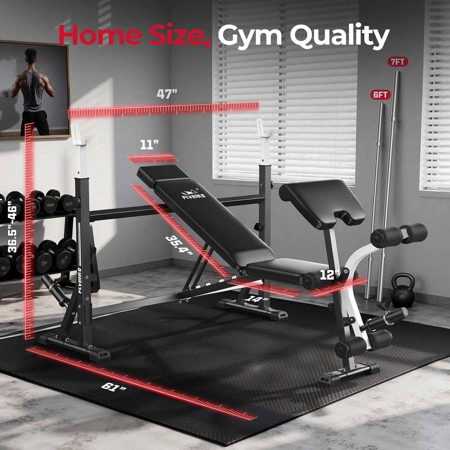 FLYBIRD Adjustable Weight Benc - Home Gym Leg Extension 评论和价格