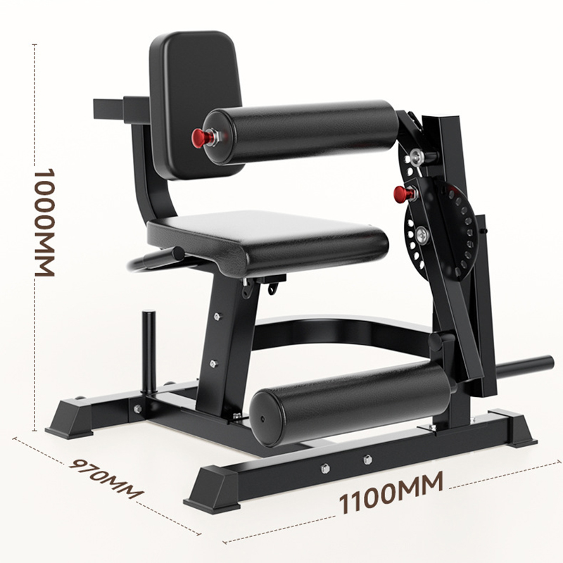 Adjustable 6 Position Workout  - Home Gym Leg Extension 评论和价格