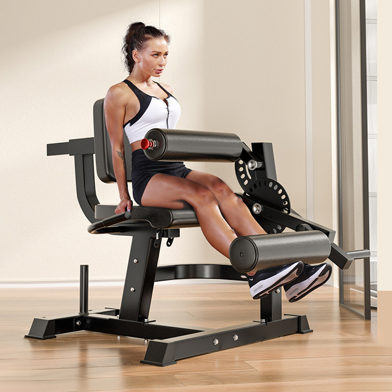 Adjustable 6 Position Workout  - Home Gym Leg Extension 评论和价格