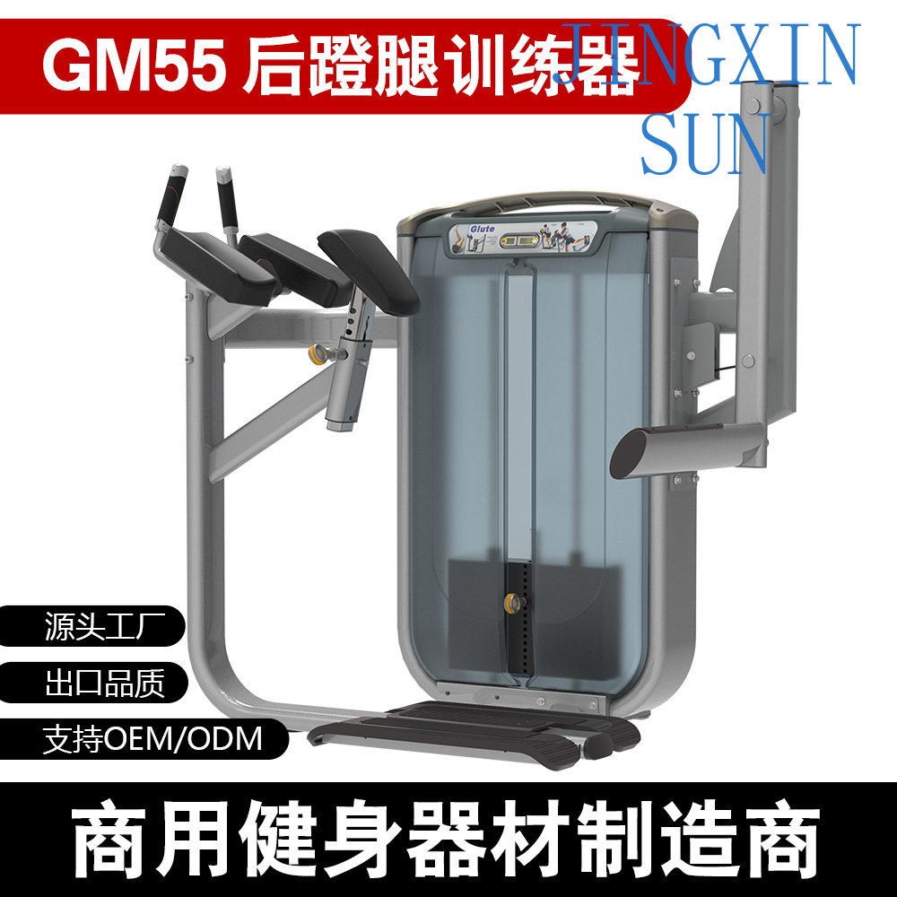 Commercial Standing Back Push  - Home Gym Leg Extension 评论和价格