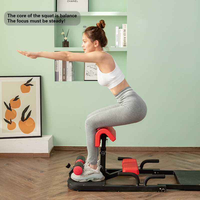 Sissy Squat Machine 3-in-1 Hom - Home Gym Quad 评论和价格
