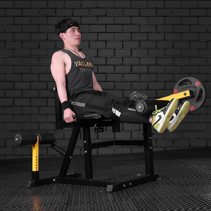 Leg Extension and Curl Machine - Home Gym Leg Extension 评论和价格