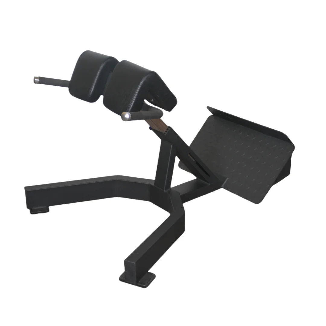 Factory Price Roman Chair Back - Home Gym Leg Extension 评论和价格